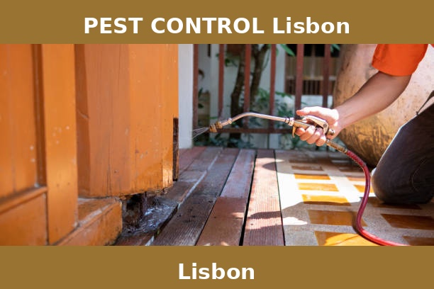 PEST CONTROL Lisbon